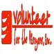 Volunteer for the Visayans logo