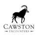 Cawston Encounters Logo of a sable antelope bull walking