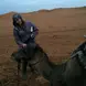 Sahara Desert camel ride