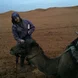 Sahara Desert camel ride