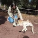 pet kangaroo
