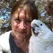 Casper the cockatoo and me