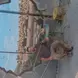 Soon to be a real hole