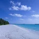 海