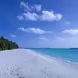 海