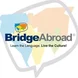 Bridge Chile Thumbnail