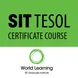 Berkeley SIT TESOL Certificate Course Thumbnail