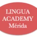 Lingua Academy Thumbnail