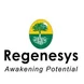 Regenesys Business School Thumbnail
