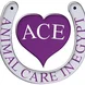 Animal Care in Egypt Thumbnail