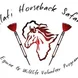 Selati Horseback Safaris Equine and Wildlife Volunteer Program Thumbnail
