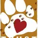 Twala Trust Animal Sanctuary, a unique, ethical volunteer experience