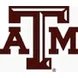 Texas A&M University Study Abroad Thumbnail