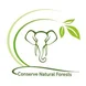 Conserve Natural Forests Thumbnail