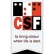 Child Sight Foundation Thumbnail