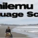 Pichilemu Language School Thumbnail