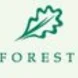European Forest Institute Thumbnail