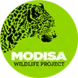 Modisa Wildlife Project