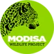Modisa Wildlife Project Modisa Wildlife Project