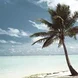 Paradise TEFL Thumbnail
