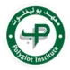 Polyglot Institute Thumbnail