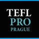 TEFLPRO Prague Thumbnail
