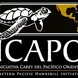ICAPO Thumbnail