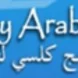 Kelsey Arabic Program Thumbnail