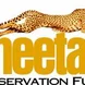 Cheetah Conservation Fund Thumbnail