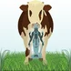 Juliana's Animal Sanctuary - Food Yoga Academy Thumbnail