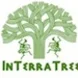 InTerraTree Thumbnail
