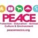 PEACE Mexico Thumbnail