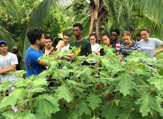 Costa Rica: Biodiversity, Ecology & Sustainability