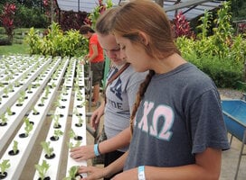 Spanish & Sustainability Practices in Costa Rica