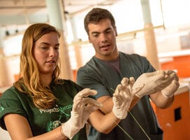 Danish Projects Abroad Medicine volunteer practices tying off a suture during a medicine workshop at the Museo de Anatomia in Cordoba, Argentina