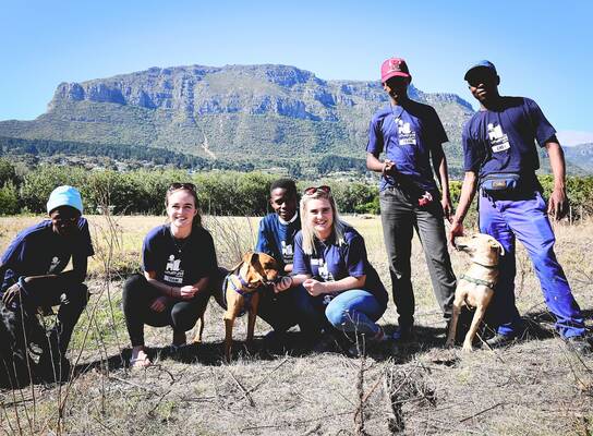 Participants in Bridging Gaps Internships in Cape Town