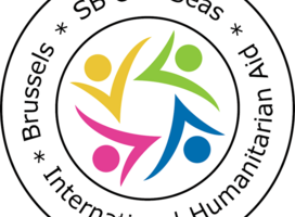 SB OverSeas logo