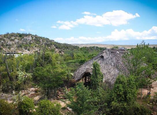 Sadhana Forest Haiti