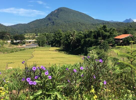 Muong Khong