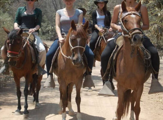 guiding the tours on horseback