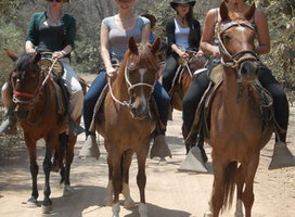 guiding the tours on horseback