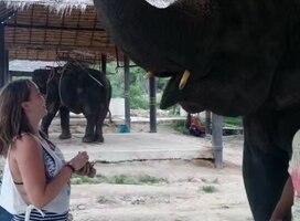 Wonderful experiences can be had in Thailand