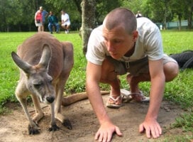 Meeting the friendly wildlife