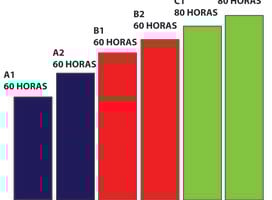 Dele exam levels