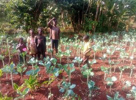 farming
