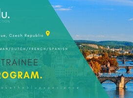 IT Trainee Program in Prague (6 months)