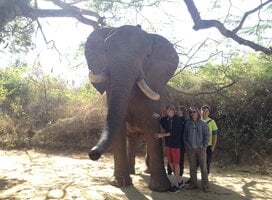 Students at Elephant Sanctuary with Bold Earth Adventures.
