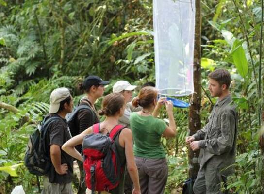 Volunteer take part in geo-mapping project in kakamega rain forest
