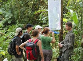Volunteer take part in geo-mapping project in kakamega rain forest