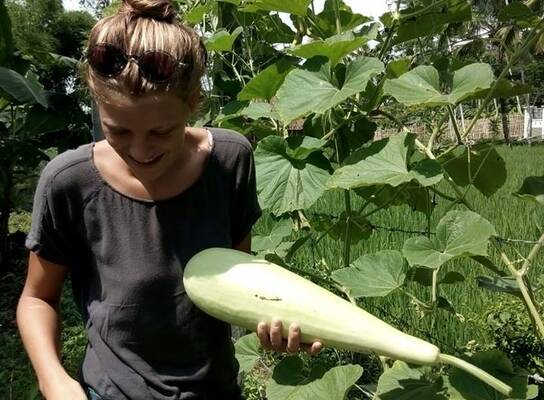 Volunteer at the permaculture garden